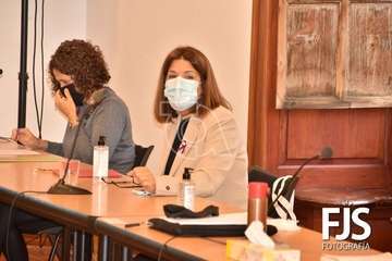 Sesión plenaria del mes de noviembre de 2020/TA y Francisco Javier Santana.